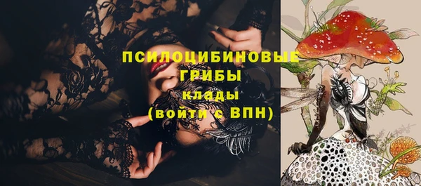 кокаин Каменка