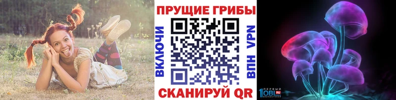 Купить  Кореновск  Псилоцибиновые грибы прущие грибы 